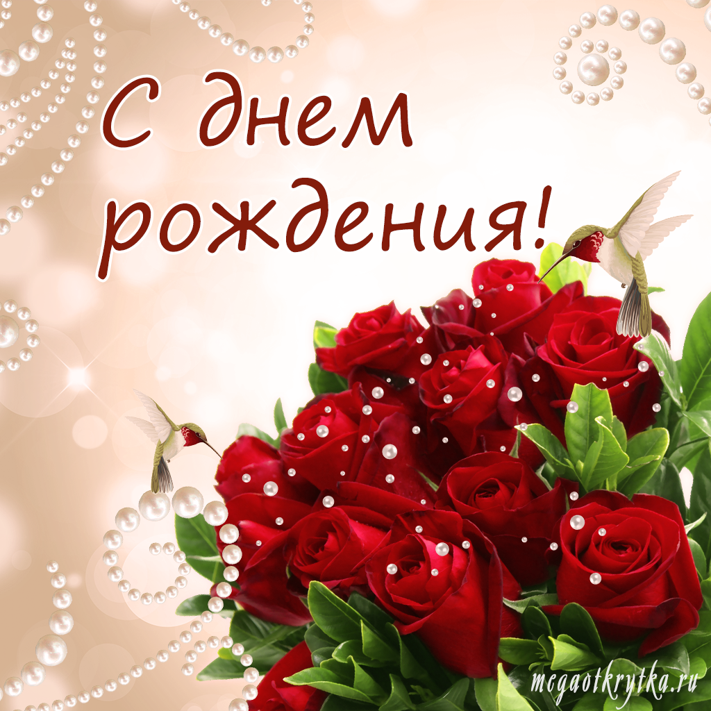 Прикольные поздравления с днем рождения девушке в прозе 💐 – бесплатные пожелания на Pozdravim